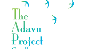Volunteer Trustee for Adavu