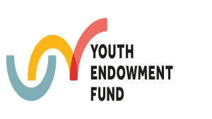 Youth Endowment Fund Lead Organisation Opportunity